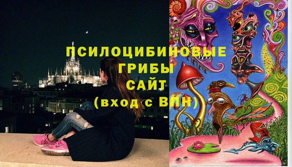 стаф Алексеевка