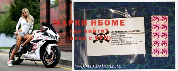 дурь Алзамай